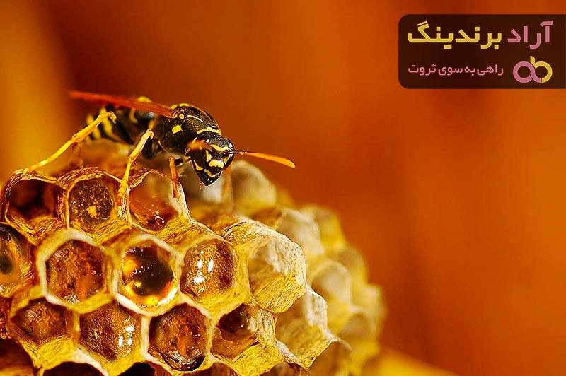 روش تولید عسل (Honey production method) + قیمت خرید عالی