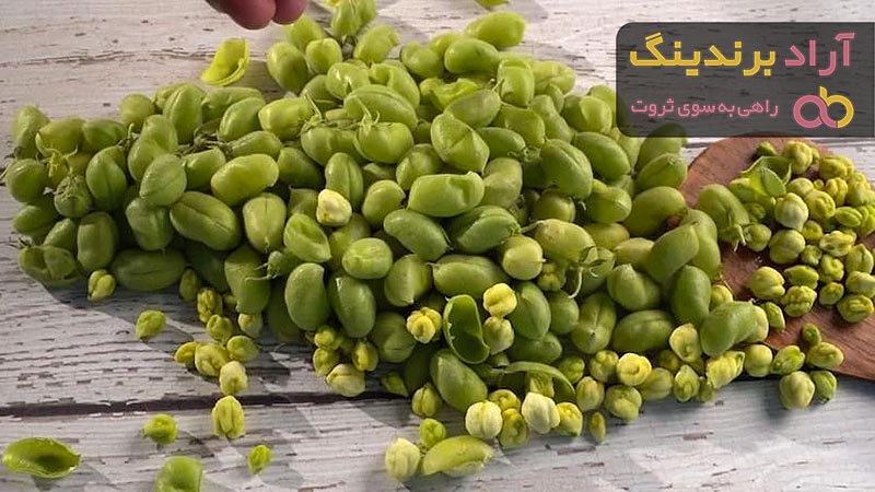 بهترین نخود خام سبز + قیمت خرید عالی