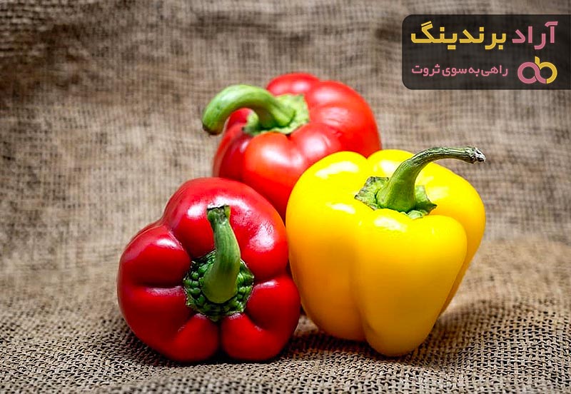 بهترین فلفل دلمه ای قرمز  + قیمت خرید عالی