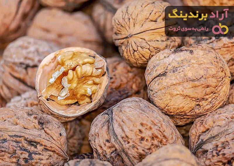 خرید مغز گردو خام ایرانی + بهترین قیمت