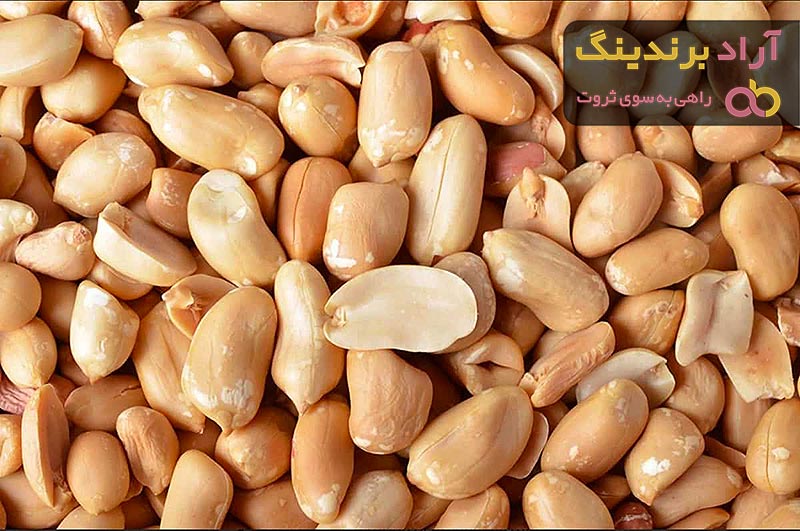 بهترین کاربرد بادام زمینی کدام است؟ + مقایسه کامل | قیمت عالی