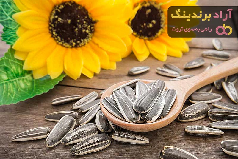 خرید و قیمت روز تخمه آفتابگردان