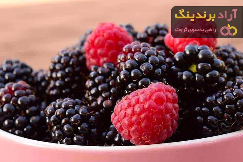 قیمت شاه توت + خرید و فروش شاه توت باکیفیت عمده