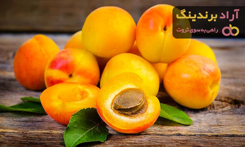 لیست قیمت زردآلو دی ۱۴۰۱