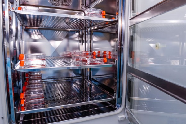 معرفی انکوباتور ممرت آلمان + بهترین قیمت خرید