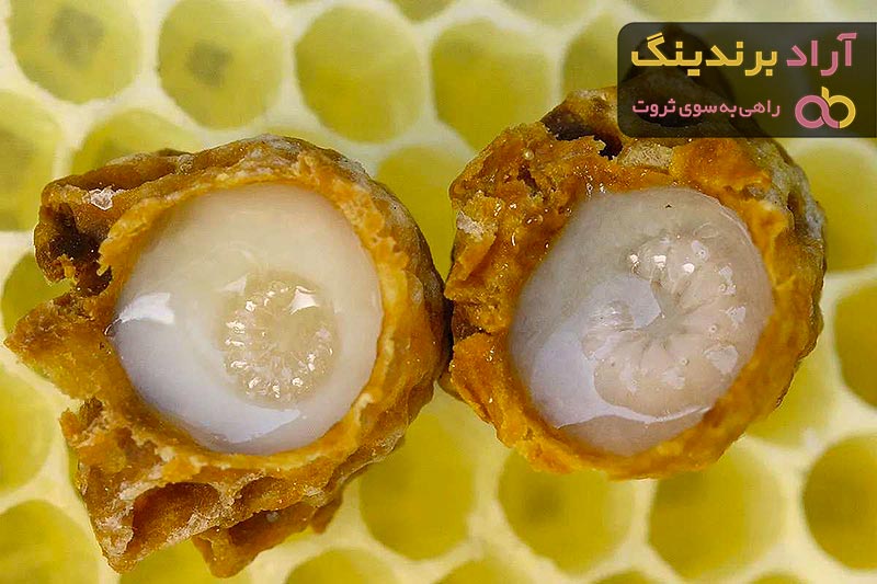 قیمت خرید ژل رویال اصل + خواص، معایب و مزایا