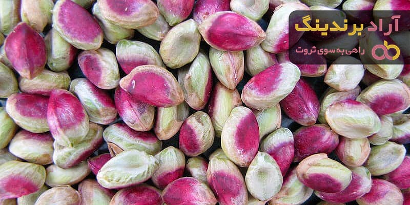 قیمت پسته شور در بارداری + پخش تولیدی عمده کارخانه