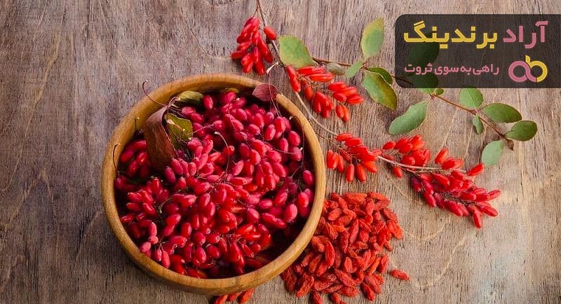 قیمت زرشک کوهی خشک + مشخصات بسته بندی عمده و ارزان
