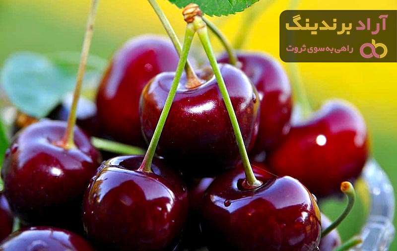 خرید گیلاس قرمز تک دانه مشهد با قیمت استثنایی
