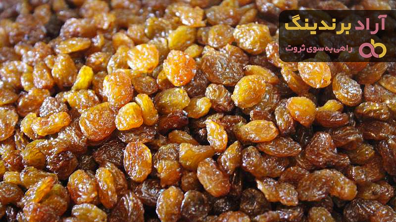 خرید جدیدترین انواع کشمش پلویی گلستان