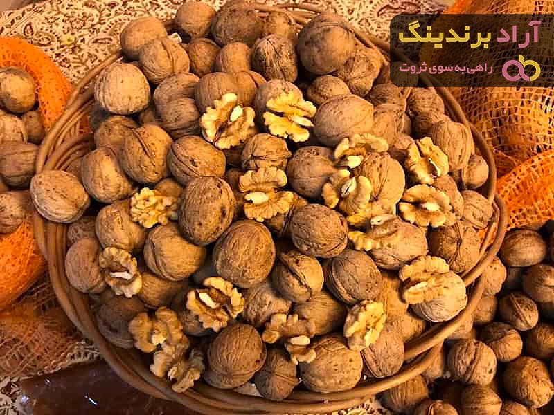 قیمت گردوی تازه + خرید و لیست قیمت روز گردوی تازه دی ۱۴۰۱