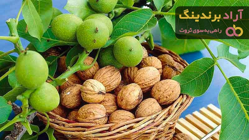 لیست قیمت گردو چندلر دی ۱۴۰۱