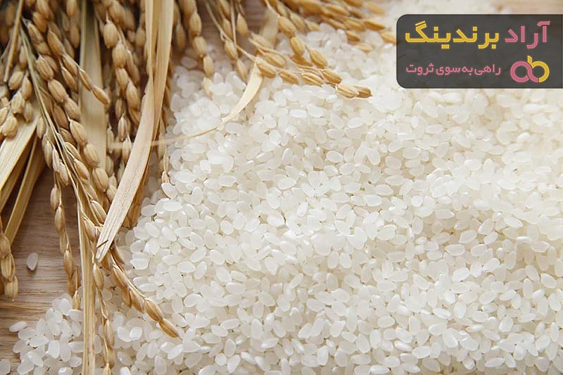 راهنمای خرید برنج ایرانی مرغوب + قیمت عالی