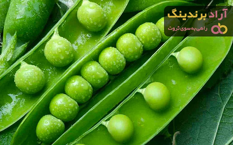 قیمت نخود فرنگی تازه + خرید و لیست قیمت روز نخود فرنگی تازه دی ۱۴۰۱