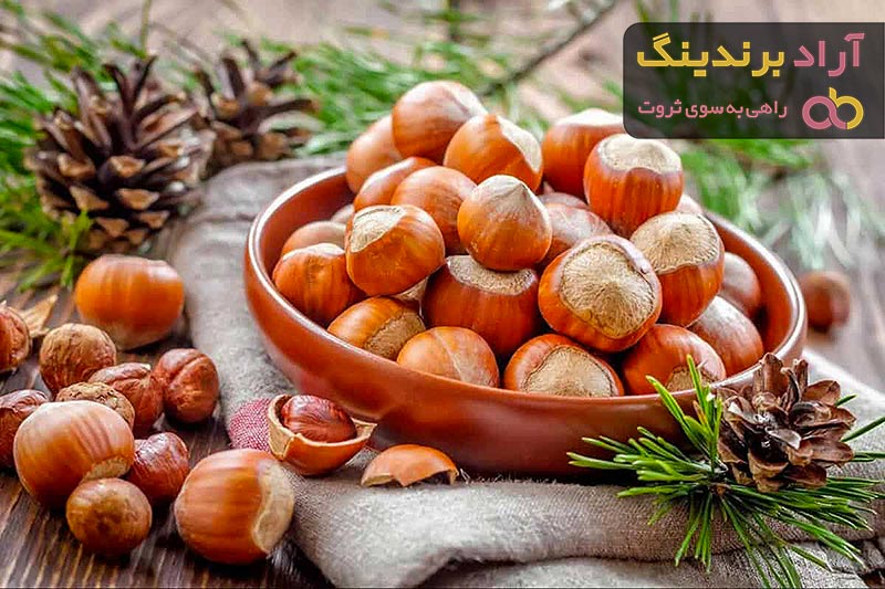 قیمت فندق تازه + بهترین قیمت خرید روز فندق تازه با جدیدترین لیست قیمت فروش