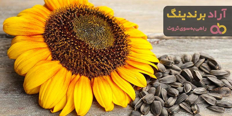 خرید و قیمت روز تخمه آفتابگردان هیبریدی