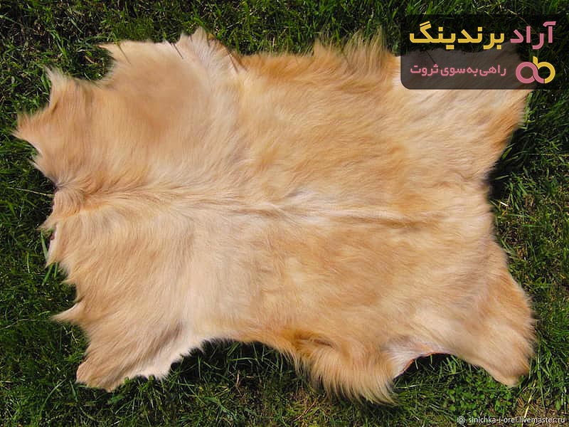 قیمت چرم گوسفندی + خرید و لیست قیمت روز چرم گوسفندی دی ۱۴۰۱