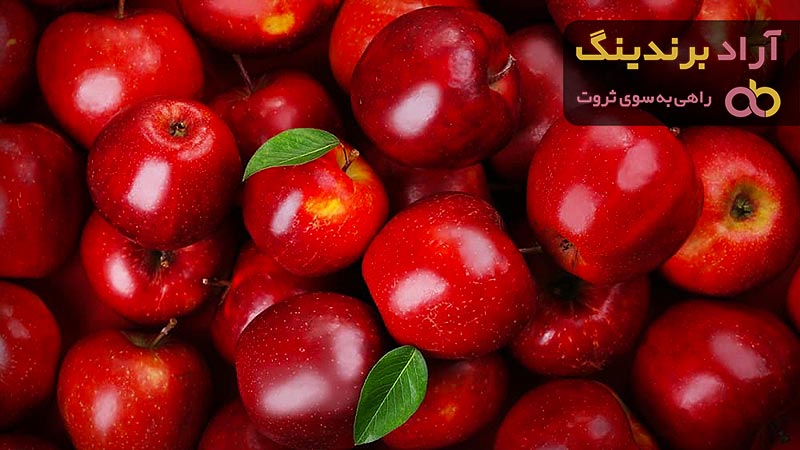 بهترین قیمت خرید انواع سیب در دی ۱۴۰۱