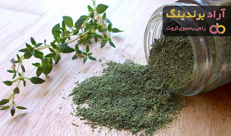 طبع آویشن شیرازی گرم یا سرد + قیمت خرید