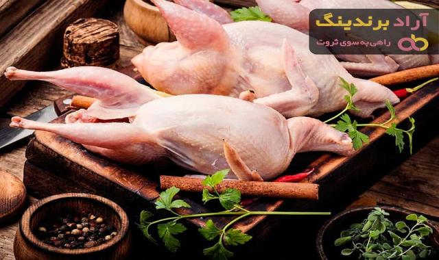آشنایی با گوشت بلدرچین + قیمت استثنایی خرید گوشت بلدرچین