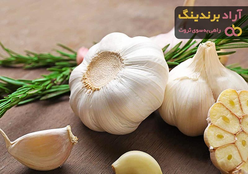 قیمت سیر صادراتی + خرید و فروش سیر صادراتی عمده