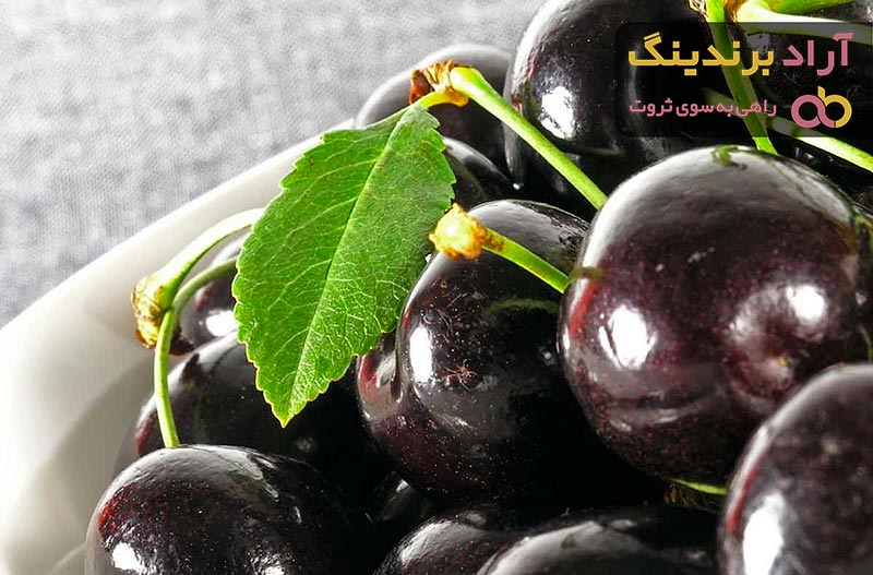 خرید گیلاس تکدانه سیاه + قیمت عالی با کیفیت تضمینی