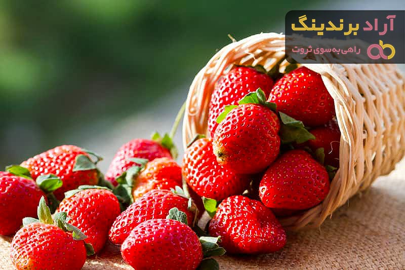 قیمت توت فرنگی + خرید و فروش توت فرنگی باکیفیت عمده