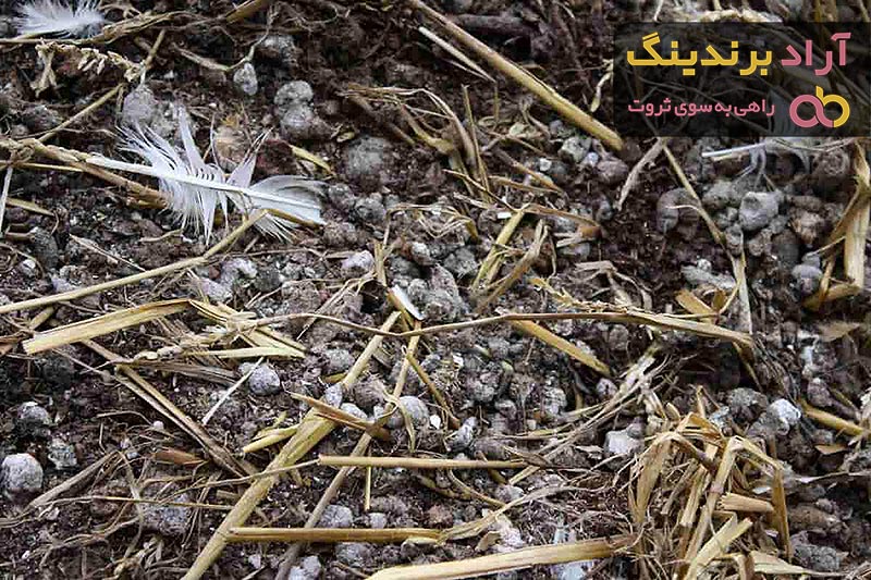 قیمت خرید کود حیوانی + خواص، معایب و مزایا