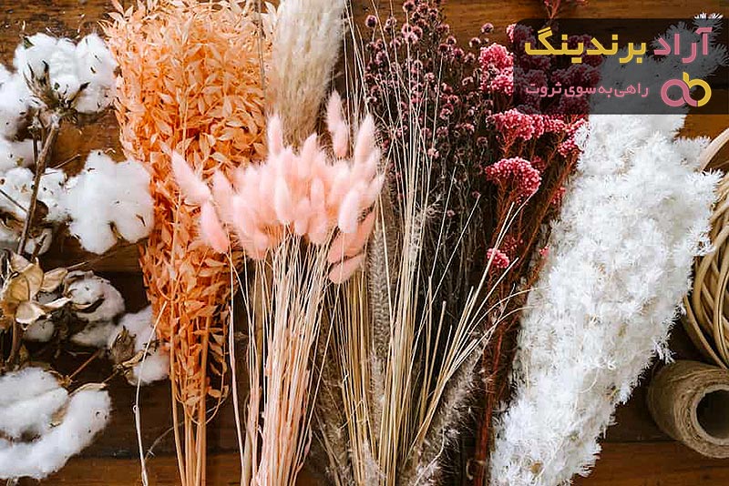گل خشک زینتی + قیمت خرید، کاربرد، مصارف و خواص