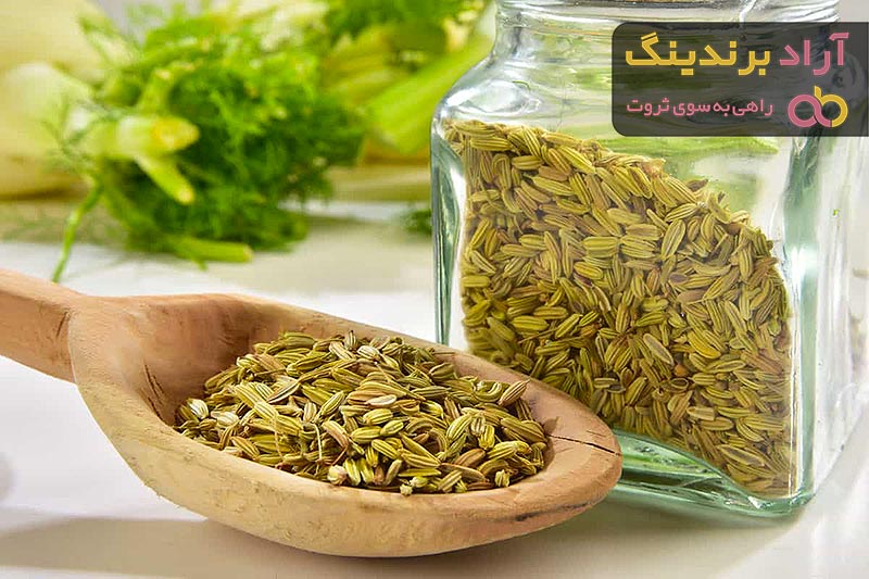 خرید انواع رازیانه ستاره ای با بهترین قیمت