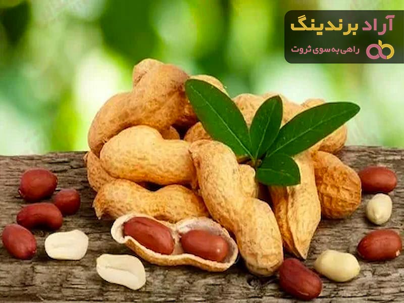 خرید بادام زمینی خام با پوست با قیمت استثنایی