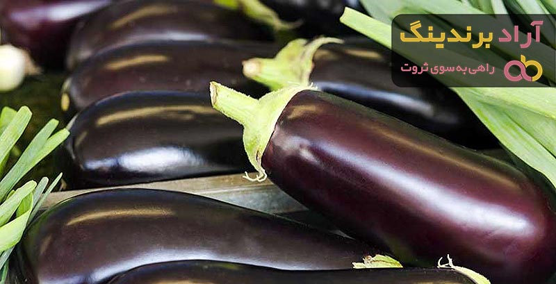 قیمت بادمجان + خرید و فروش بادمجان با کیفیت عمده