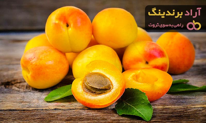 قیمت قیسی زردآلو + خرید و فروش قیسی زردآلو عمده