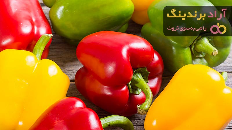 خرید و لیست قیمت فلفل دلمه ای با بهترین کیفیت