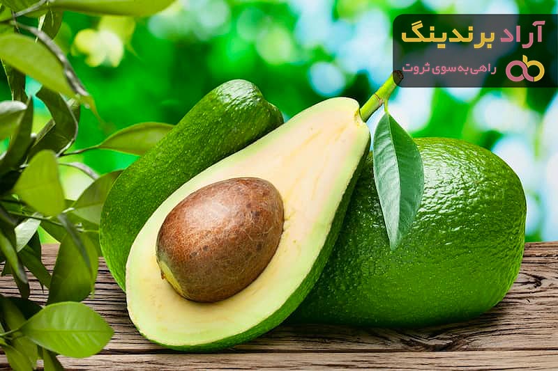 قیمت آووکادو تازه + خرید انواع متنوع آووکادو تازه