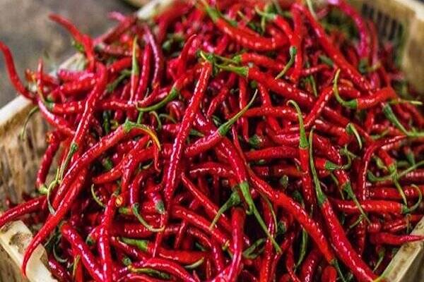 خرید بذر فلفل شمشیری شیرین با قیمت استثنایی