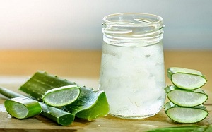 قیمت خرید کمپوت آلوئه ورا + فروش در تجارت و صادرات