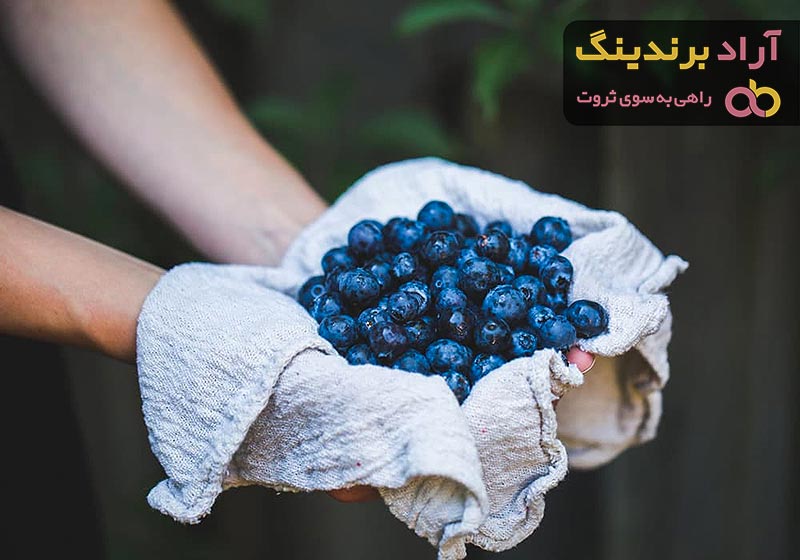 فواید بلوبری وحشی + قیمت خرید