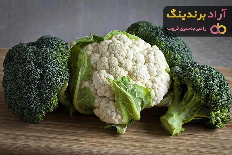 قیمت خرید گل کلم بنفش + عکس