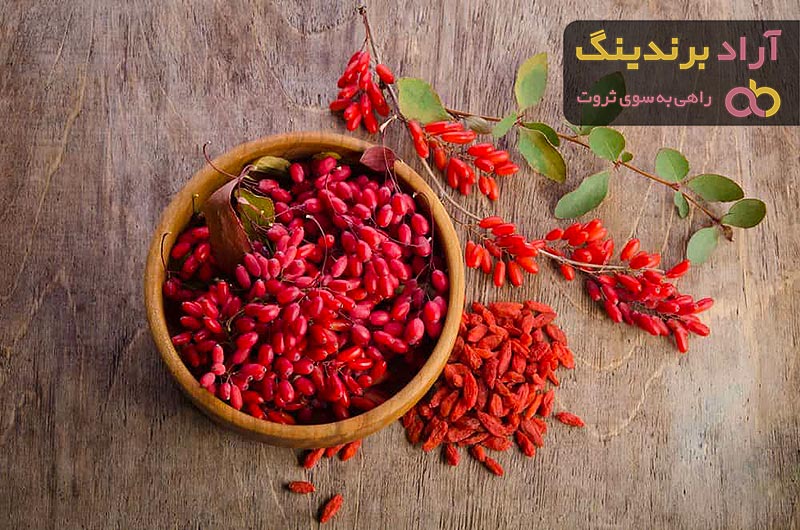 خرید باکیفیت ترین انواع میوه با قیمت ارزان