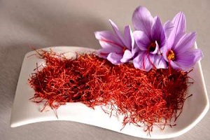 قیمت زعفران گلخانه ای + خرید انواع متنوع زعفران گلخانه ای