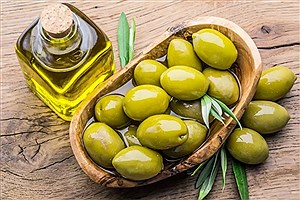 خرید روغن زیتون + معرفی کارخانه تولید و عرضه پخش