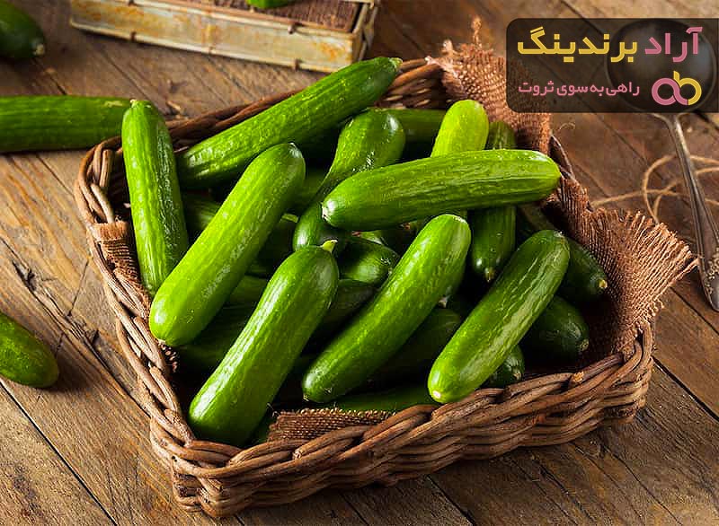 قیمت خرید خیار مجلسی از تولید به مصرف به صورت عمده و خورده فروشی