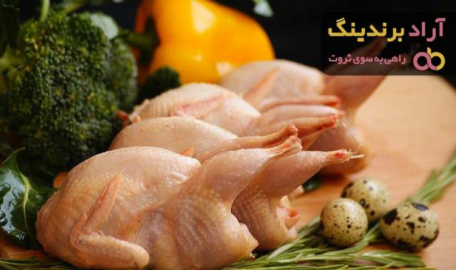 قیمت گوشت بلدرچین + خرید و فروش گوشت بلدرچین عمده