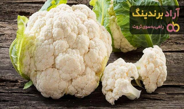 خرید بهترین انواع گل کلم با قیمت ارزان