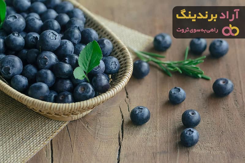 بلوبری منجمد چیست؟ + قیمت خرید بلوبری وحشی