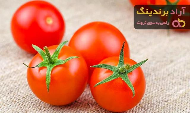 قیمت خرید گوجه فرنگی جنوب + مشخصات، عمده ارزان