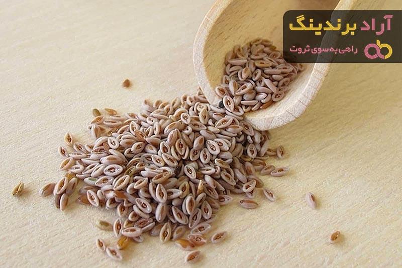 قیمت خرید دانه اسفرزه + مزایا و معایب