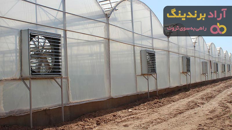 قیمت خرید فن سیر کوله + راهنمای استفاده