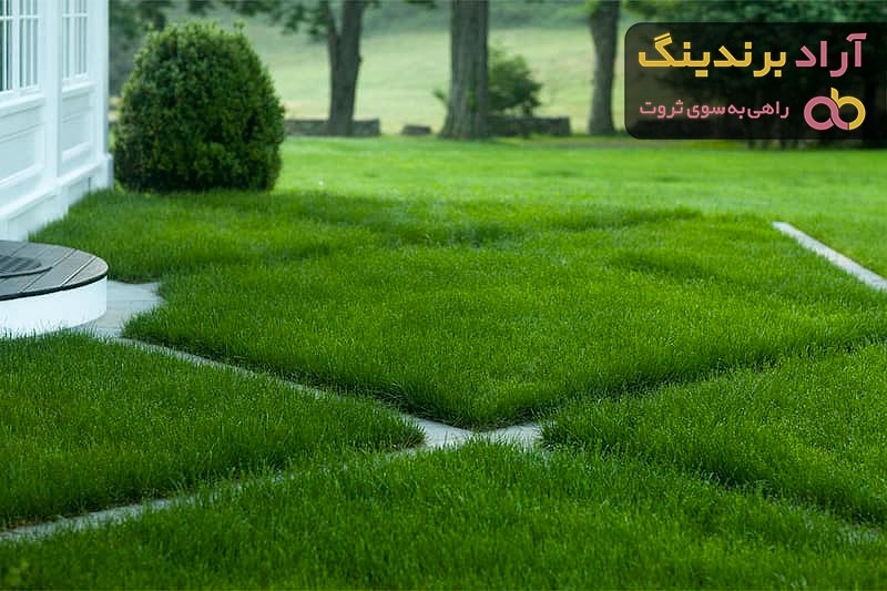 قیمت چمن مصنوعی دست دوم از تولید به مصرف